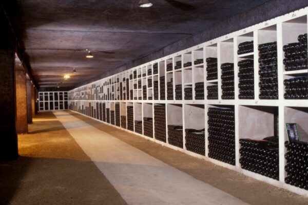 Vinotheque-droit-slider-818x449